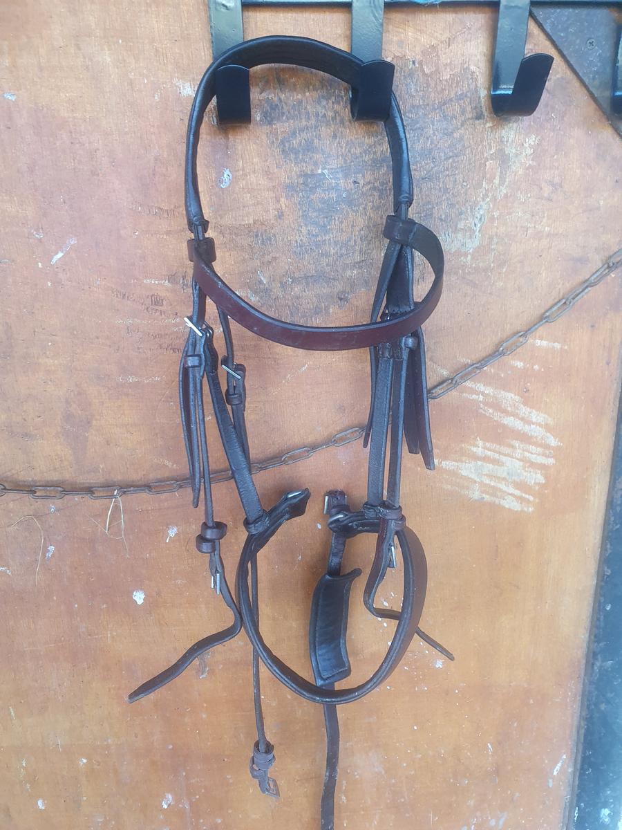 Bridon cheval cuir fait main